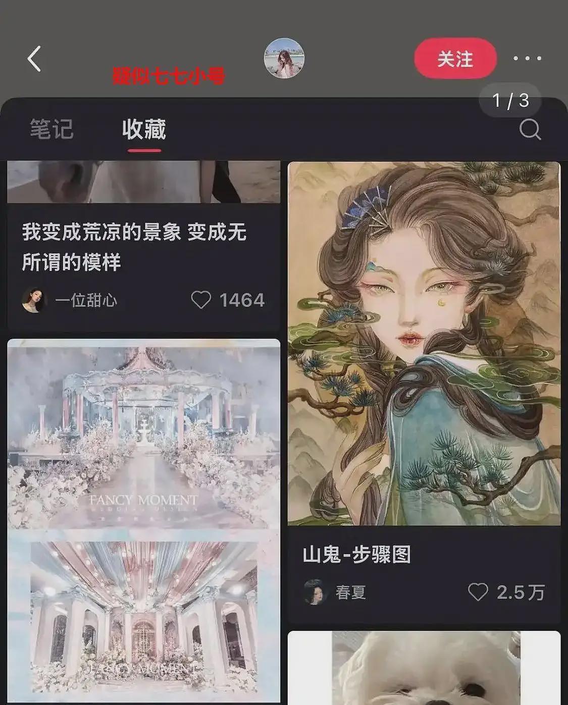 王思聪罕见发声，疑嘲讽林俊杰女友“整容改变命运”，两人交集被扒（组图） - 10