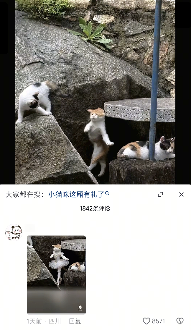 【爆笑】“夜爬忘记看天气的后果......”哈哈哈哈哈这操作是万万没想到啊（组图） - 14