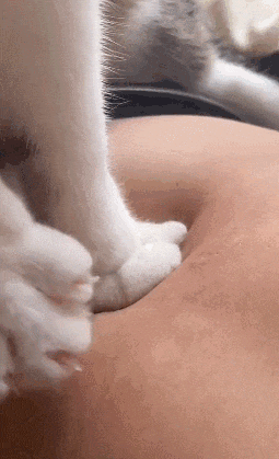 【宠物】小姐姐拿猫证明自己没P腿，一看合照图，网友笑晕：主人腿长，给猫长脸哈哈哈哈（组图） - 4