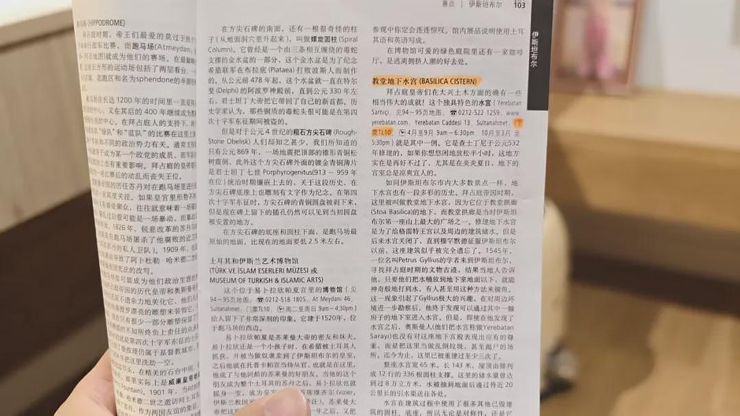 免签后的土耳其，悄悄围猎中国中产（组图） - 5