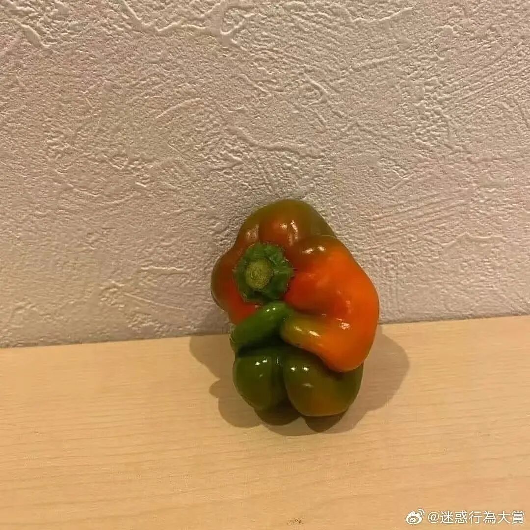 【爆笑】“怕女友玩拼豆中毒给她买了防毒面罩…?”哈哈哈,这才是真正的老式男友!(组图) - 32