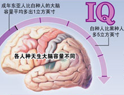 8000块定制顶尖精英男性精子：黑暗交易链条被扒太骇人（组图） - 17