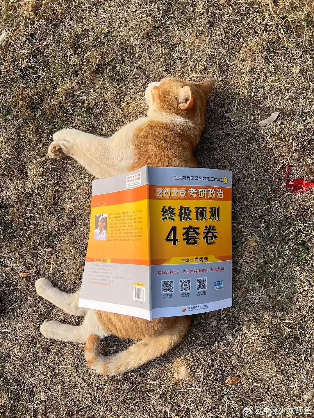【爆笑】“怕女友玩拼豆中毒给她买了防毒面罩…?”哈哈哈,这才是真正的老式男友!(组图) - 25