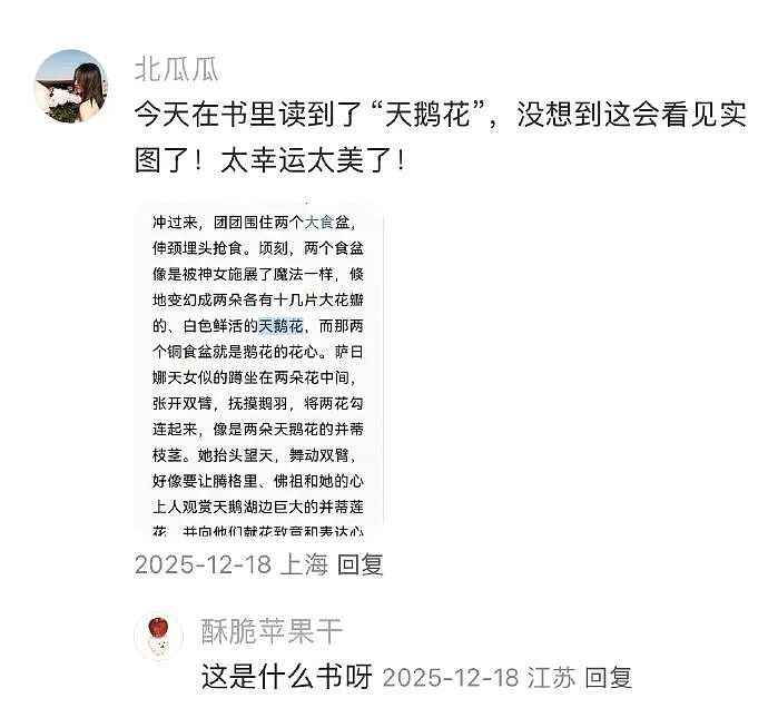 【爆笑】无意间在视频网站的弹幕上发现男朋友出轨了？网友惊呆：现在出轨的方式都那么野！（组图） - 47