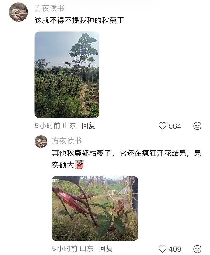 【爆笑】无意间在视频网站的弹幕上发现男朋友出轨了？网友惊呆：现在出轨的方式都那么野！（组图） - 29