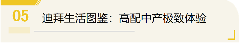 卷不动欧美了！迪拜成中产留学新热门，毕业白捡两年工作签（组图） - 15