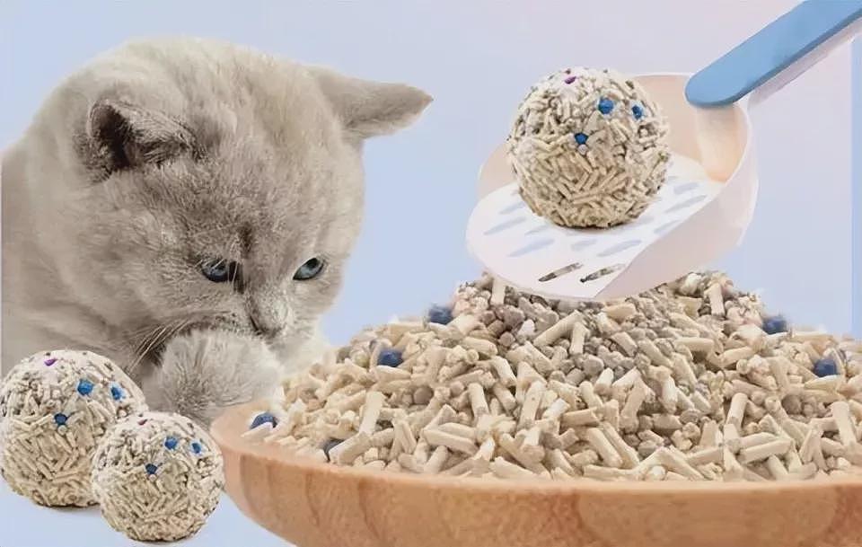 卖的比米都贵的猫砂,却根本不赚钱?(组图) - 9