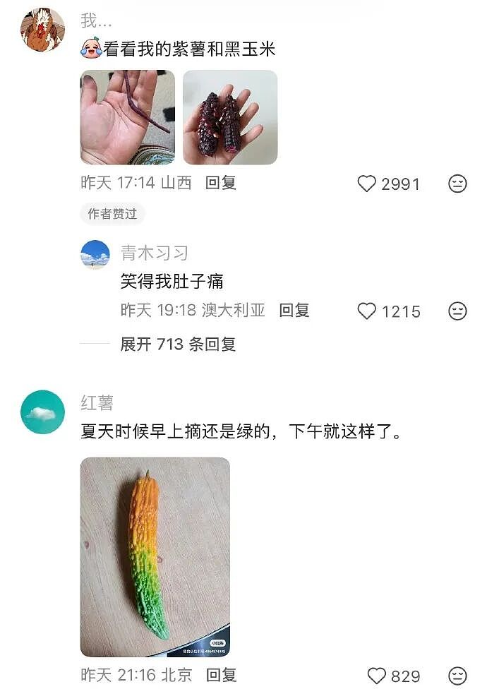 【爆笑】无意间在视频网站的弹幕上发现男朋友出轨了？网友惊呆：现在出轨的方式都那么野！（组图） - 27