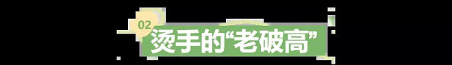 住在云端，困在深谷：买超高楼层的业主进退两难（图） - 5