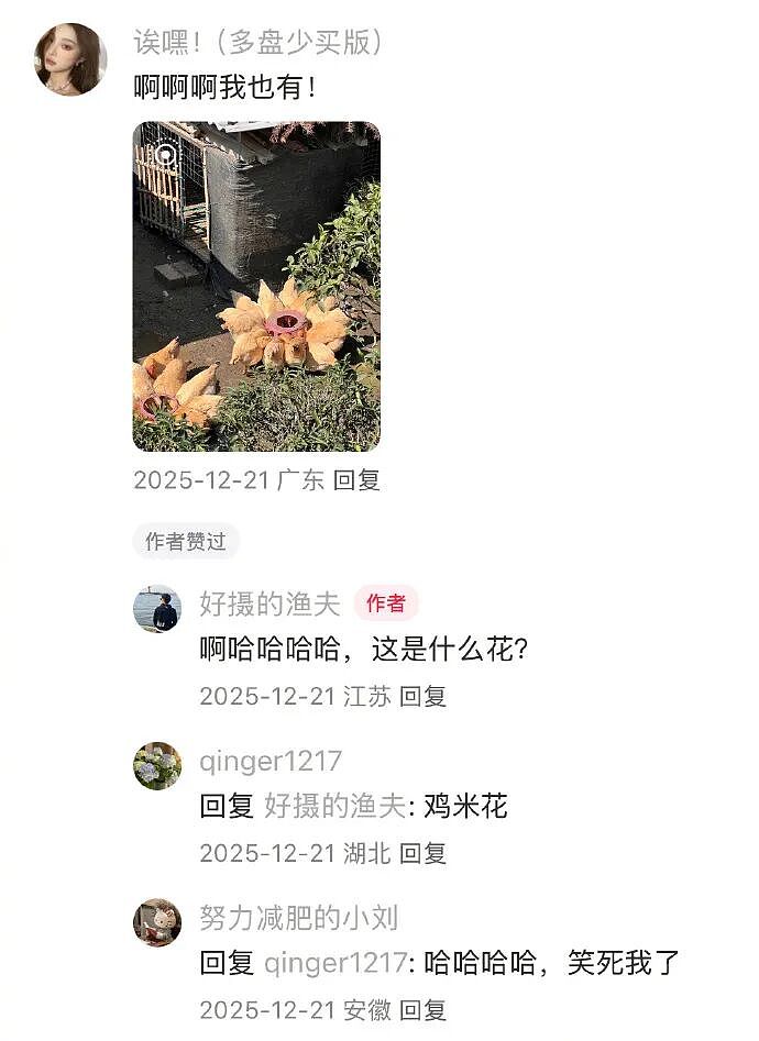【爆笑】无意间在视频网站的弹幕上发现男朋友出轨了？网友惊呆：现在出轨的方式都那么野！（组图） - 48