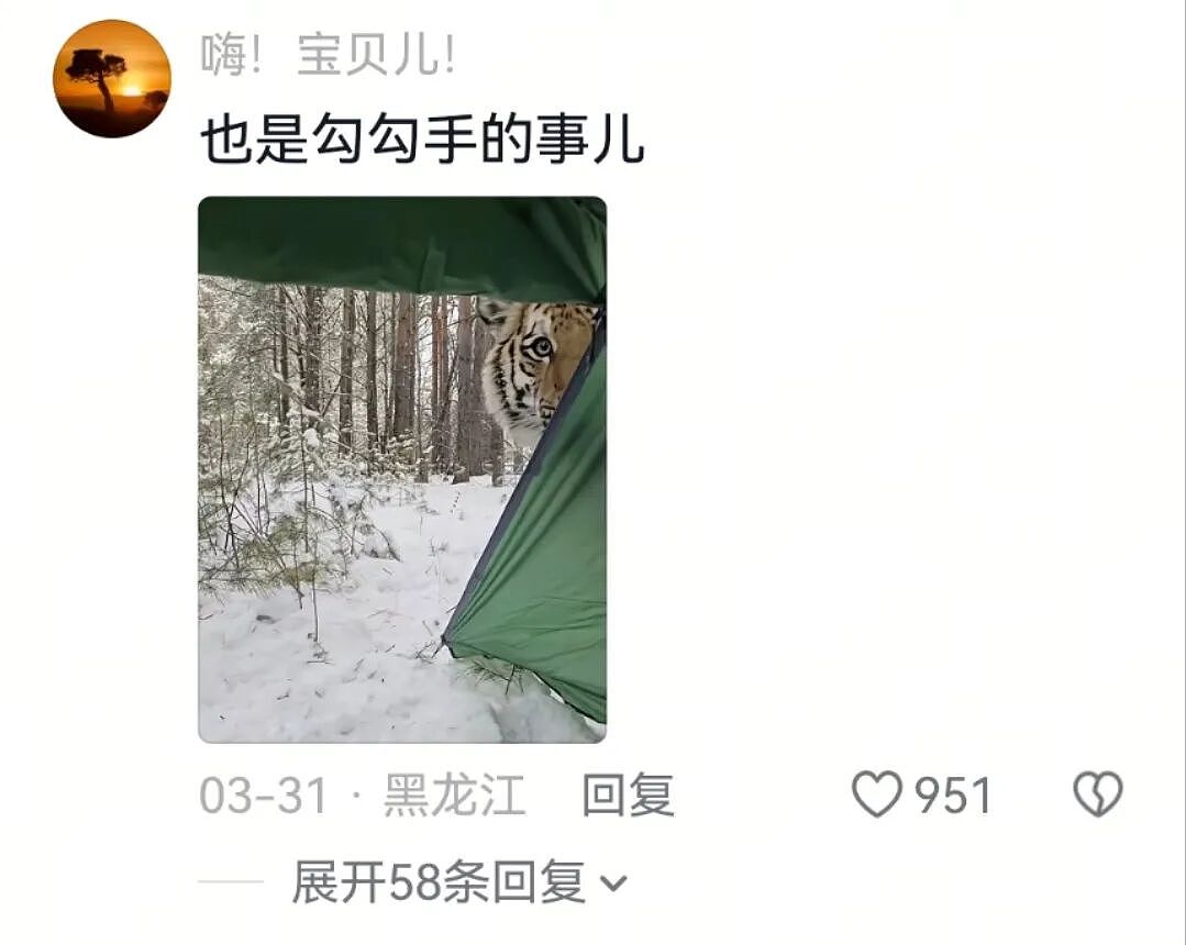 【宠物】小小猫想跟大大狗交朋友，结果被大狗子凶跑，谁知道小猫背后还有势力...狗：我错了（组图） - 4