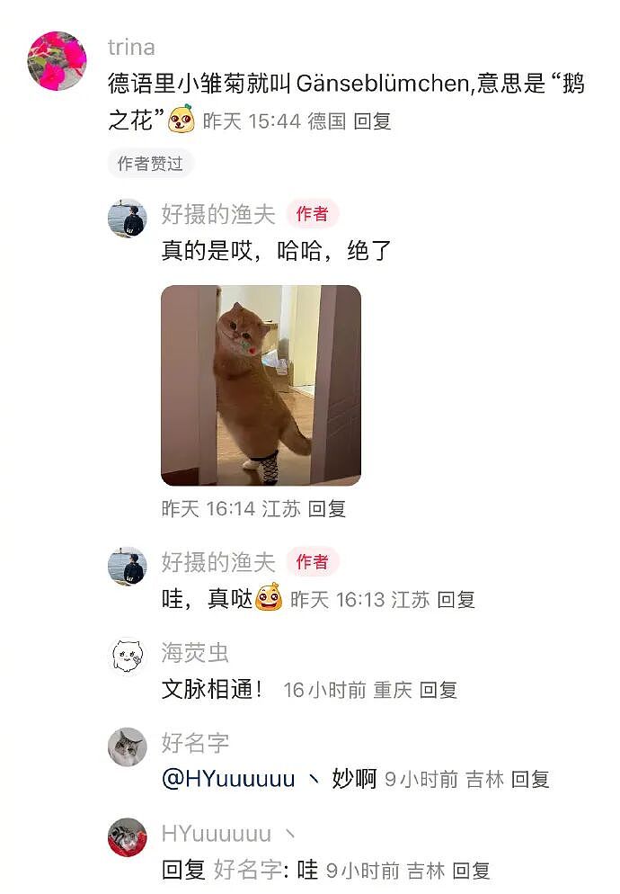 【爆笑】无意间在视频网站的弹幕上发现男朋友出轨了？网友惊呆：现在出轨的方式都那么野！（组图） - 49