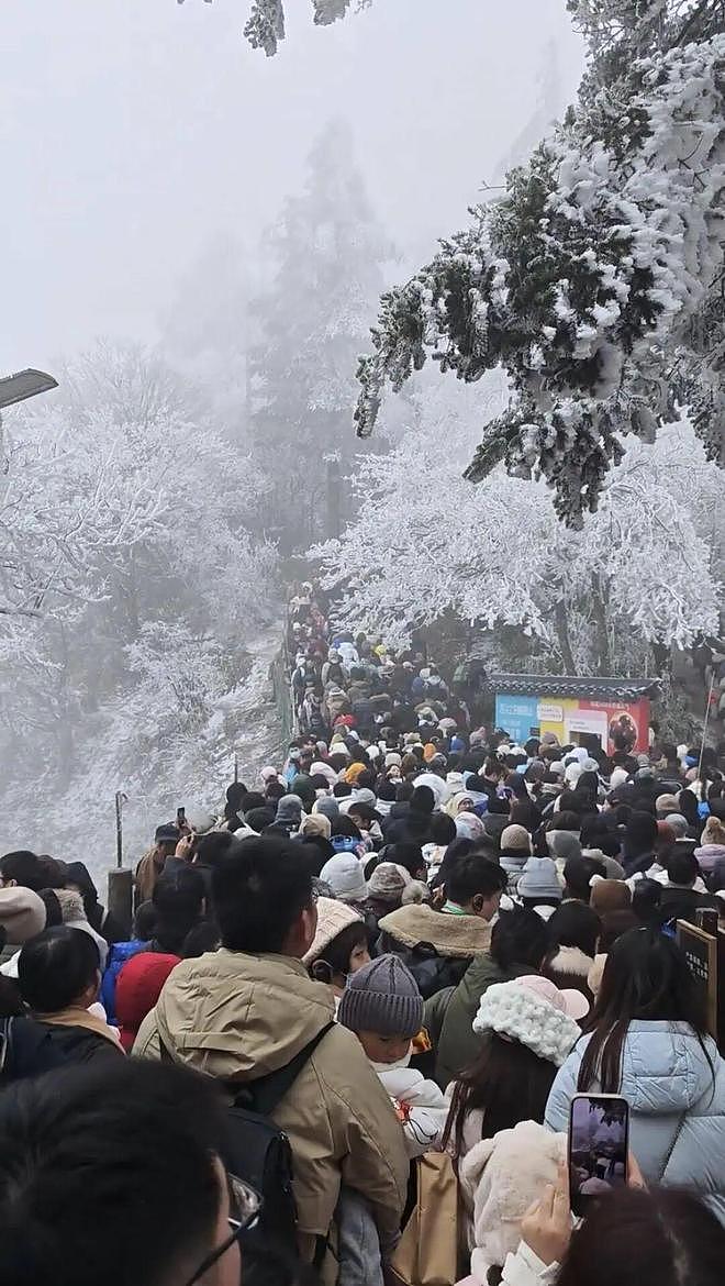 “没见过这么离谱的”!深夜零下20℃,数百游客滞留!两知名景区双双被挤爆,最新致歉(组图) - 5