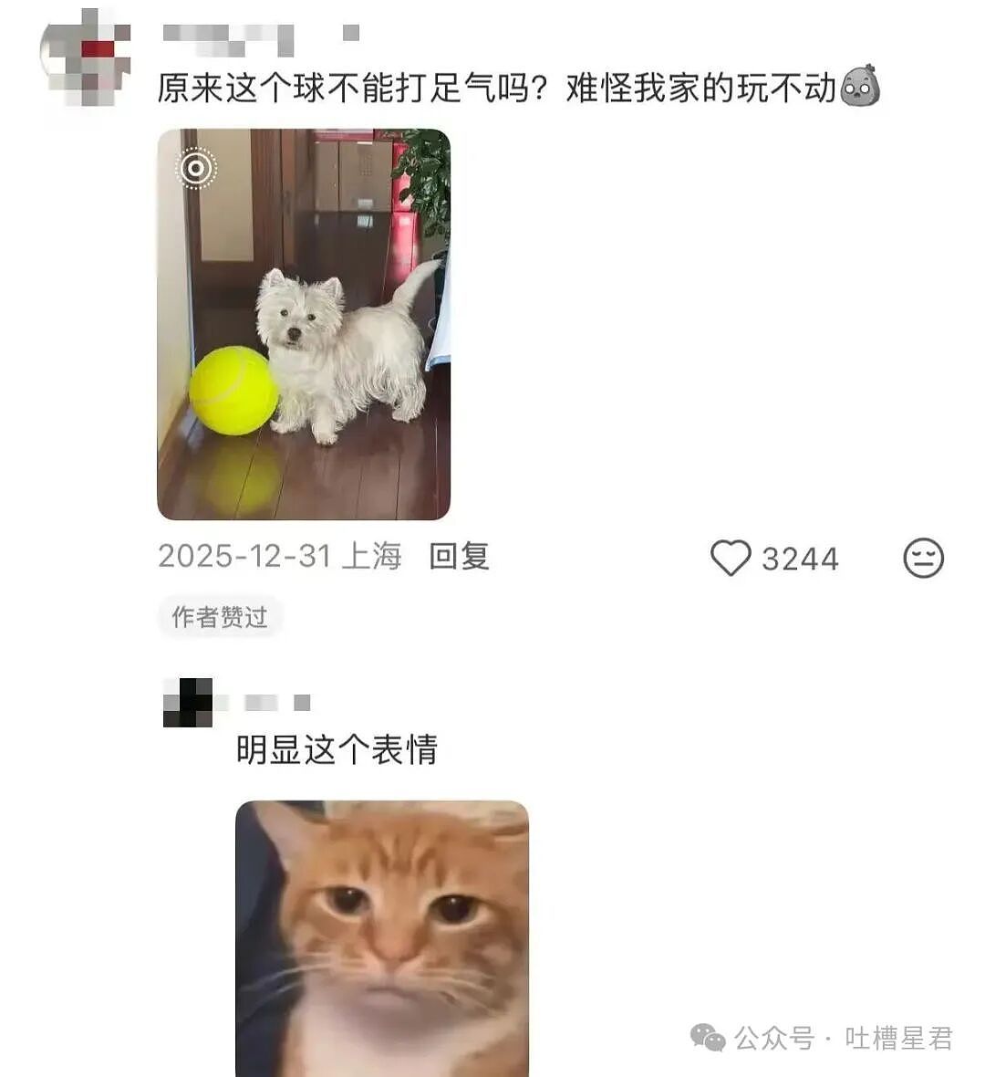 【爆笑】怕女友玩拼豆中毒给她买了防毒面罩…?哈哈哈这才是真正的老式男友(组图) - 29