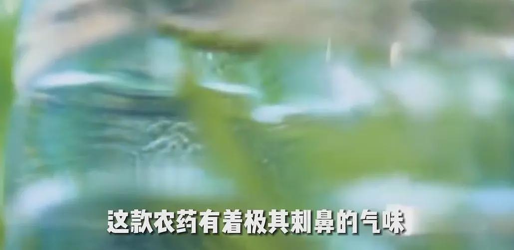 天津“七仙女”血案:女生害怕殉情太孤单!农药毒死室友7人做伴(组图) - 18