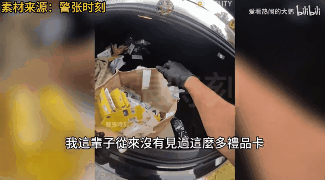 清纯女子遭英国警方通缉，疑为华人？运营制毒工厂还整奴隶制（组图） - 9