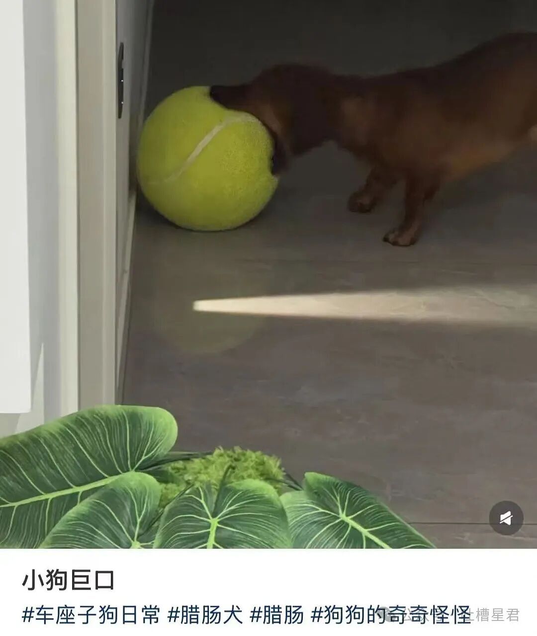 【爆笑】怕女友玩拼豆中毒给她买了防毒面罩…?哈哈哈这才是真正的老式男友(组图) - 28