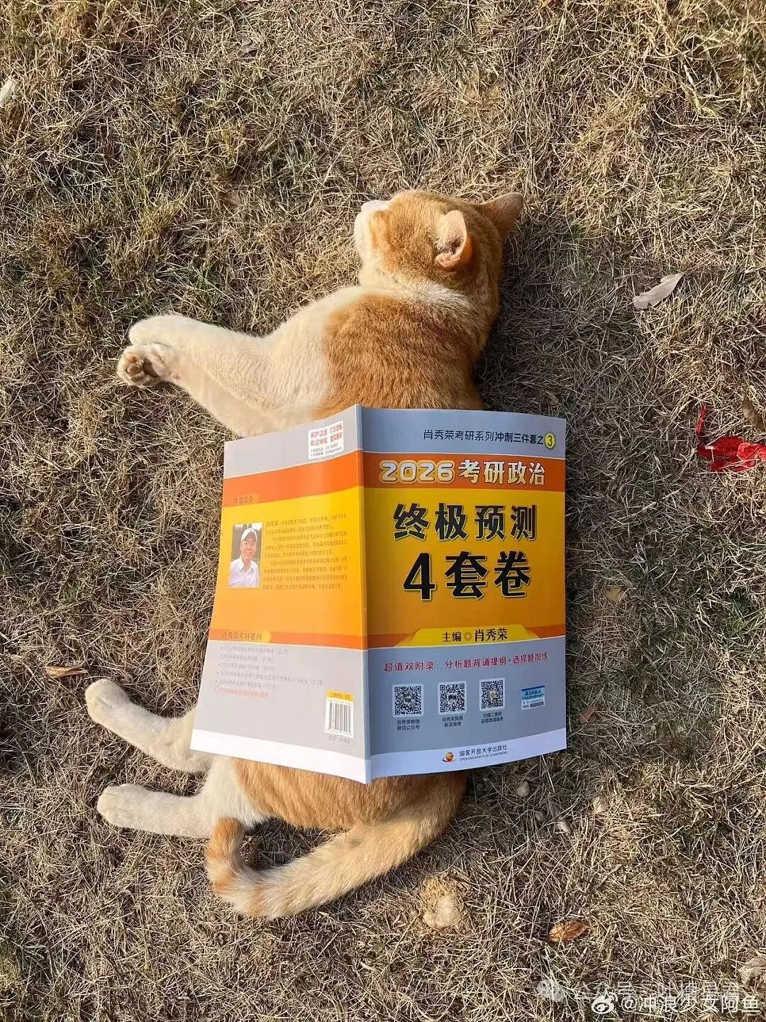 【爆笑】怕女友玩拼豆中毒给她买了防毒面罩…?哈哈哈这才是真正的老式男友(组图) - 19