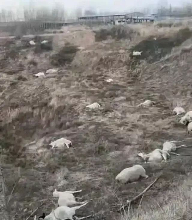 一起触目惊心投毒案,为什么坑你最狠的往往是熟人(组图) - 1