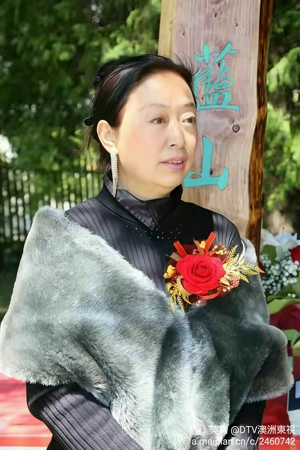 澳洲华裔著名女画家胡涛入选，全球华人书画家十大年度人物（组图） - 1