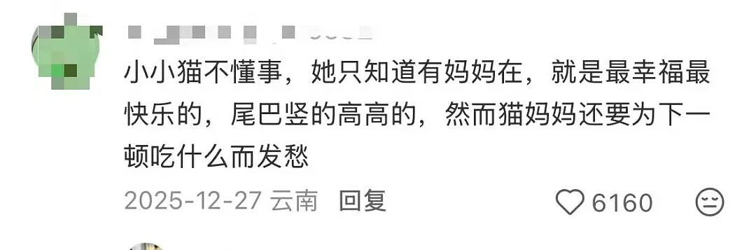 【爆笑】当点外卖遇见段子照进现实…哈哈哈商家做完自己先笑了半小时（组图） - 47
