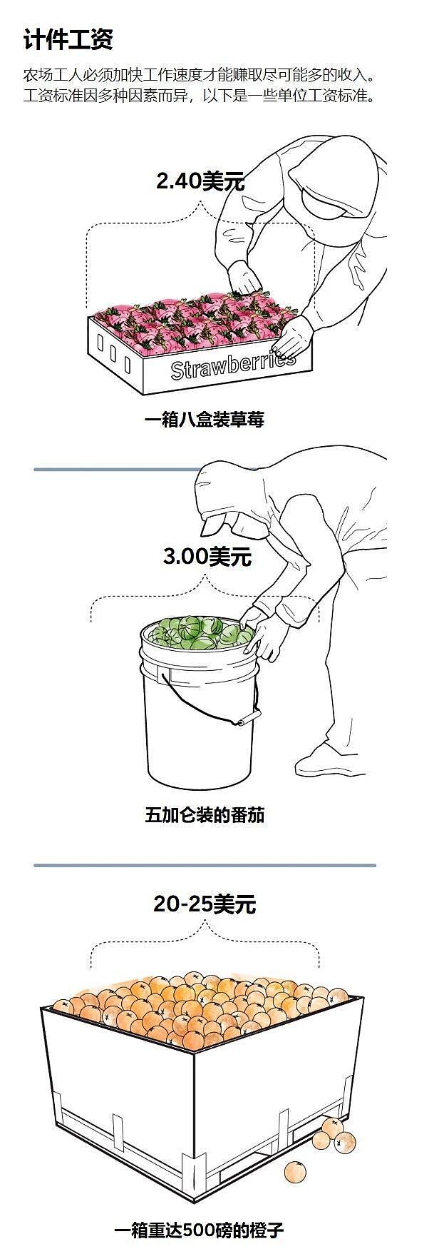 加州童工:在毒田里慢慢死去(组图) - 4