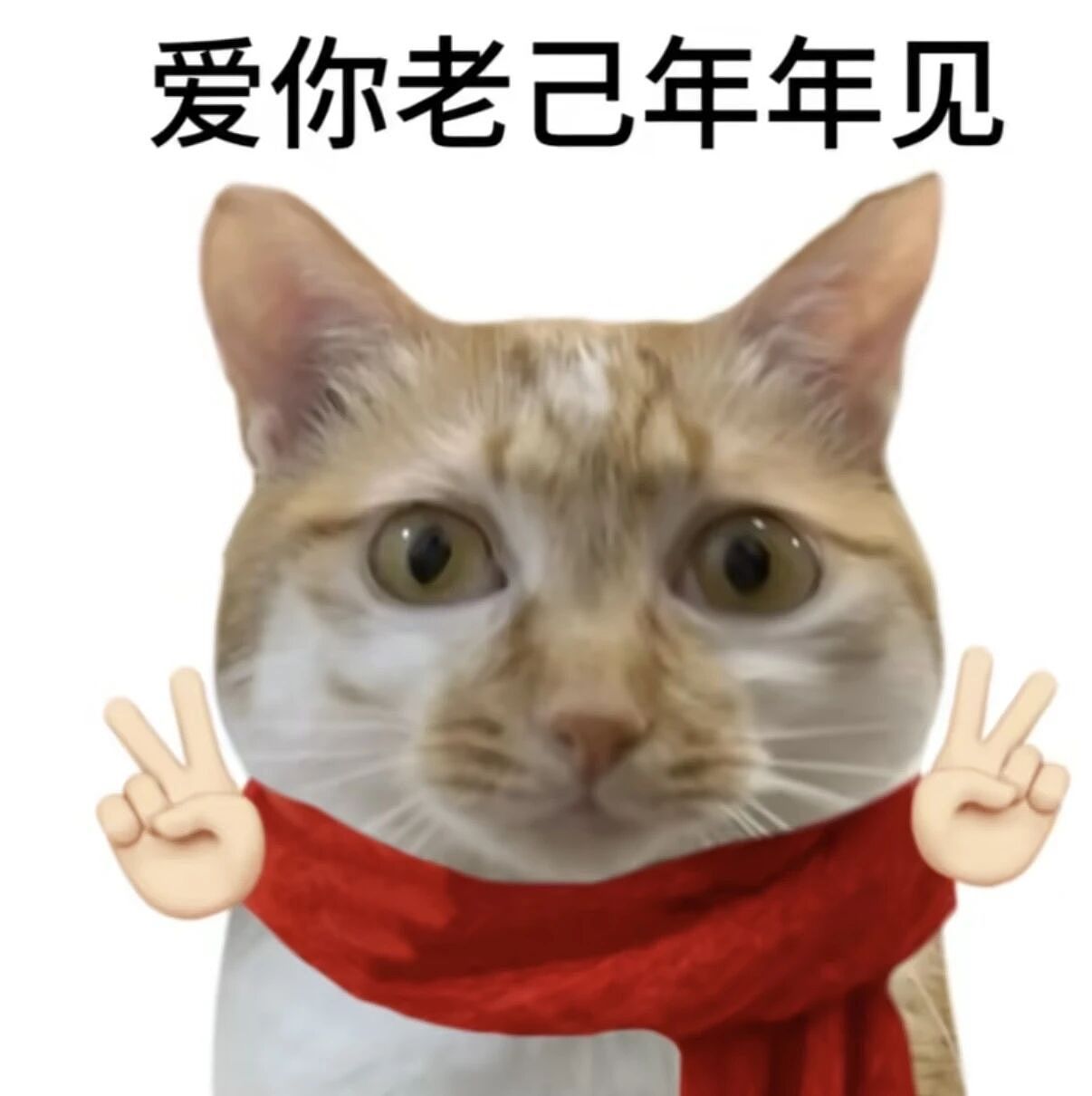 【爆笑】当点外卖遇见段子照进现实…哈哈哈商家做完自己先笑了半小时（组图） - 67