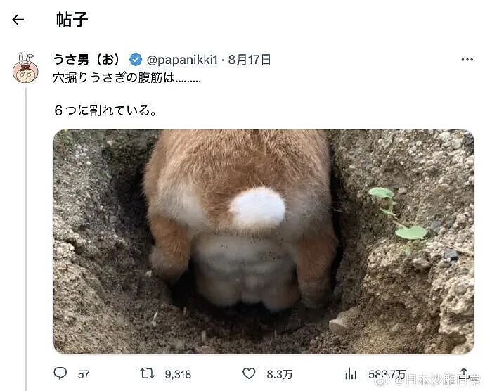 【爆笑】当点外卖遇见段子照进现实…哈哈哈商家做完自己先笑了半小时（组图） - 59