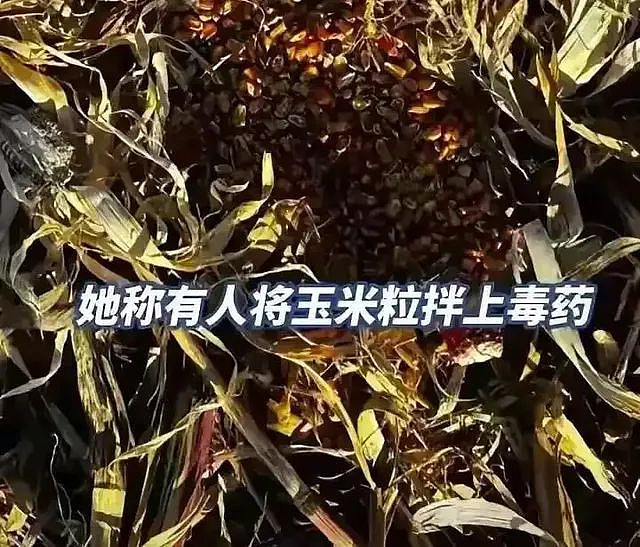 一起触目惊心投毒案,为什么坑你最狠的往往是熟人(组图) - 2