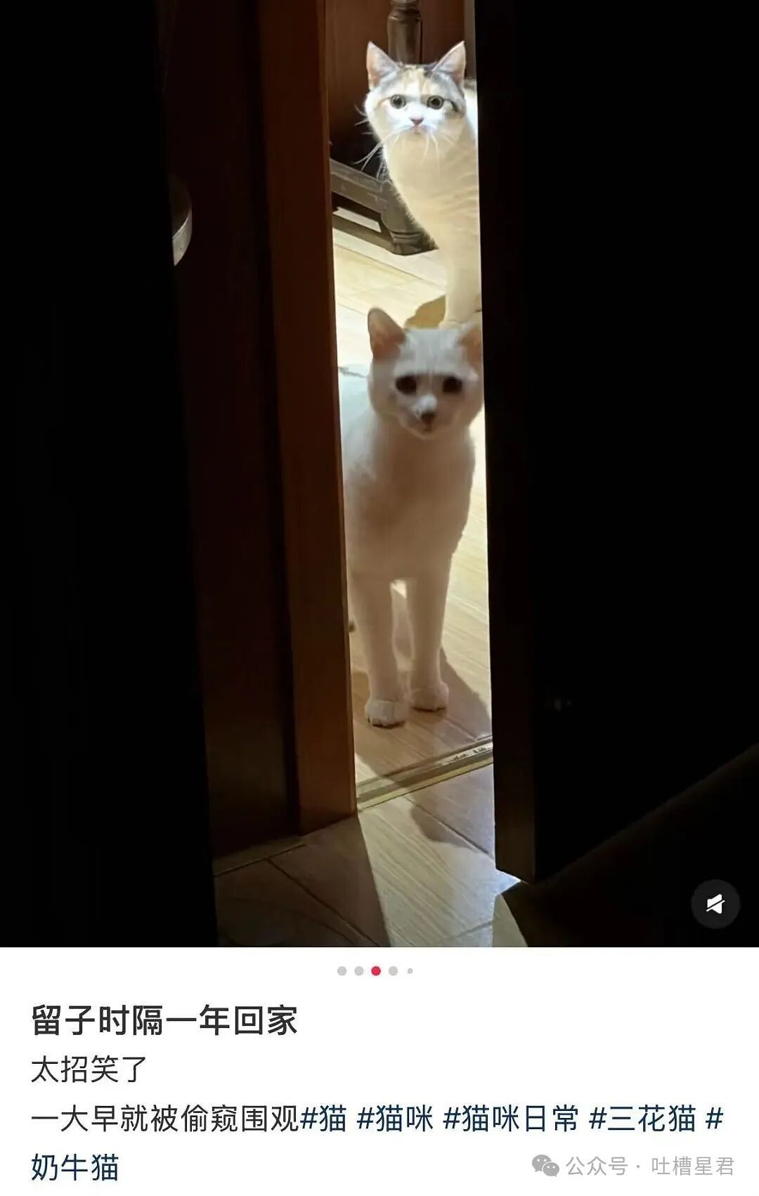 【爆笑】怕女友玩拼豆中毒给她买了防毒面罩…?哈哈哈这才是真正的老式男友(组图) - 26