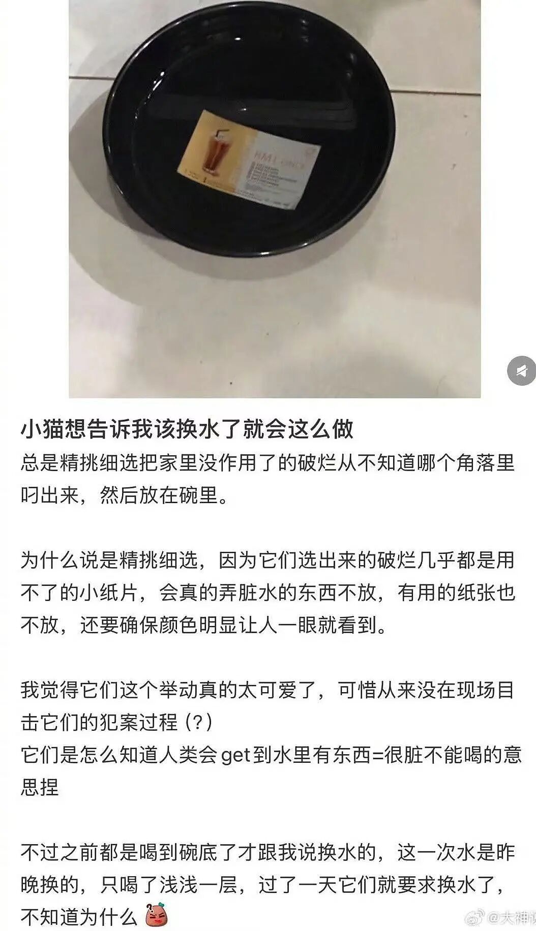 【爆笑】当点外卖遇见段子照进现实…哈哈哈商家做完自己先笑了半小时（组图） - 39