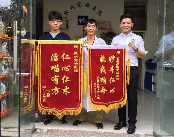 【宠物】带狗去做绝育，却被宠物医院里的锦旗笑出猪叫声...（组图） - 17