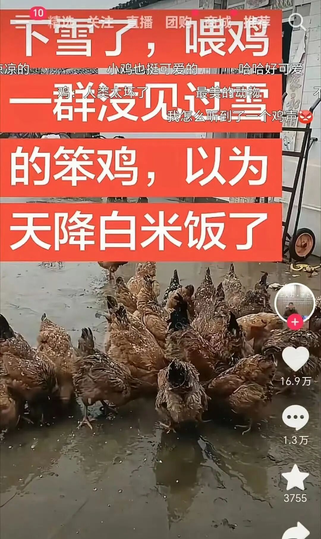 【爆笑】“婚礼上被自己的婚纱当场勒晕…？”哈哈哈你们结过婚的嘴是真严！（组图） - 44