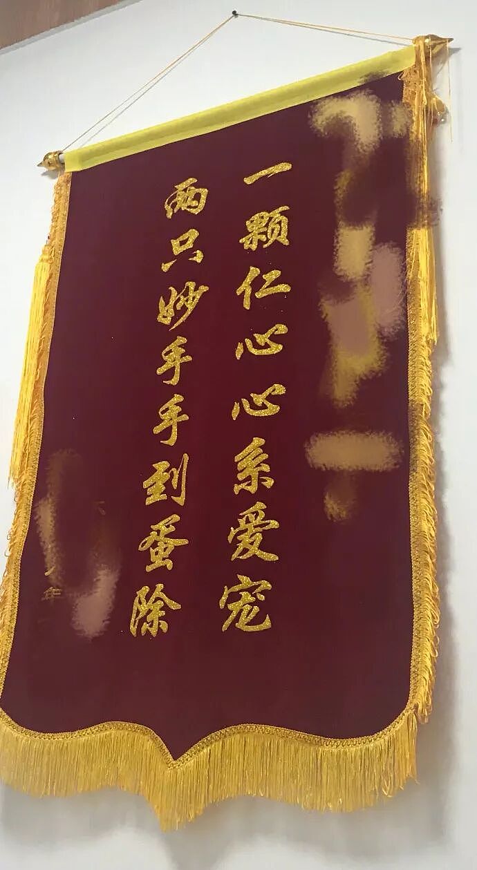 【宠物】带狗去做绝育，却被宠物医院里的锦旗笑出猪叫声...（组图） - 1