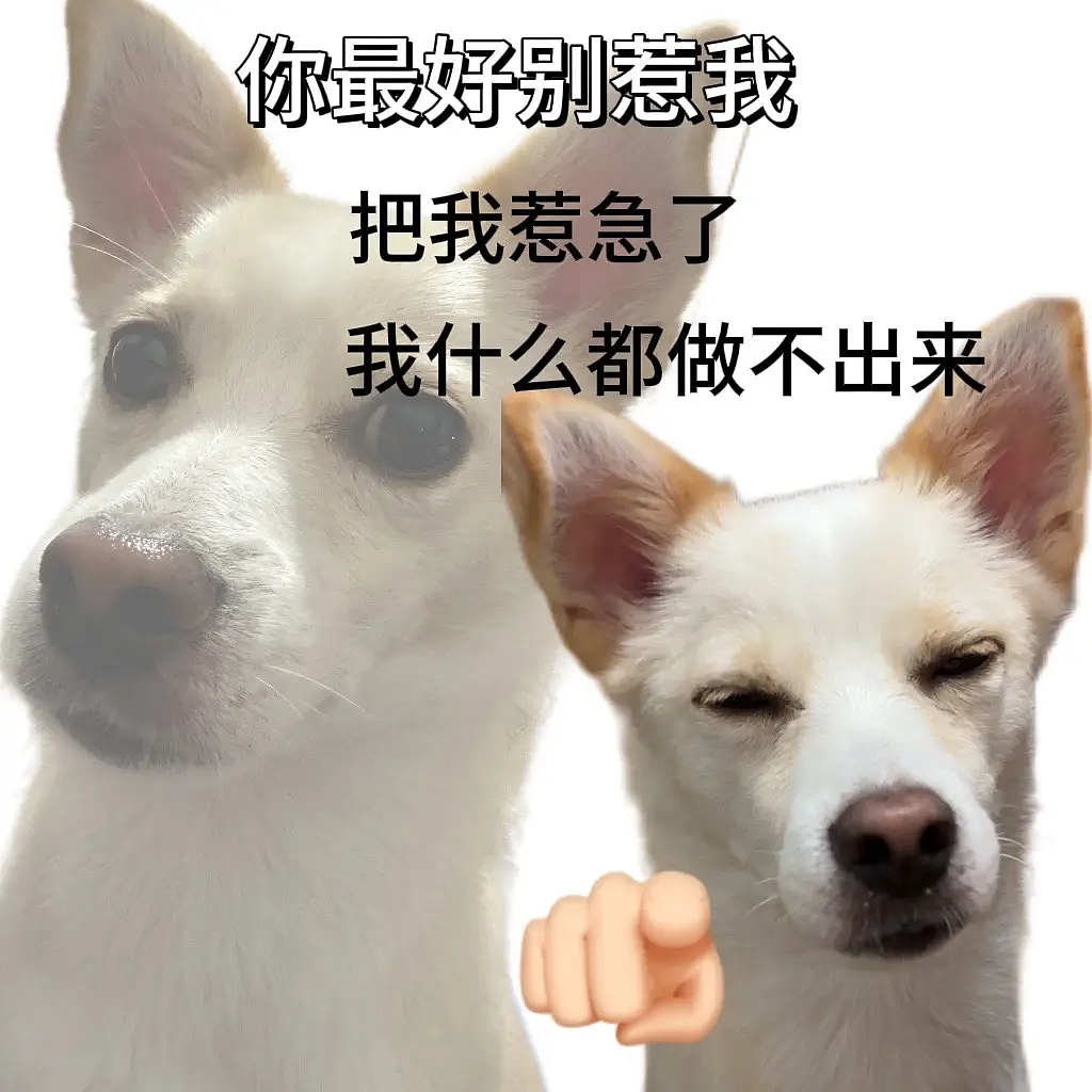 美吞并格陵兰岛提上日程?欧7国发联合声明反对,英媒:无人注意(组图) - 3