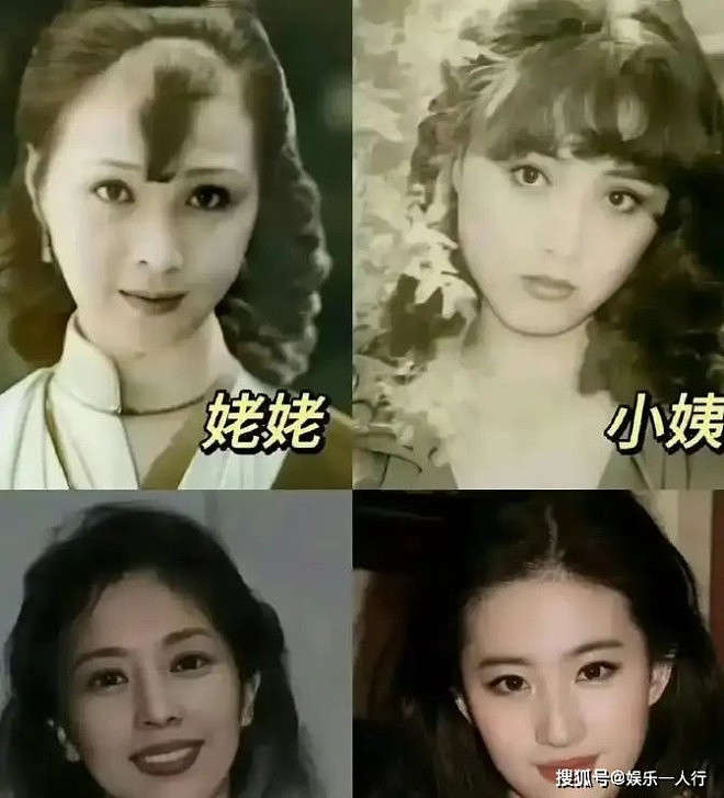 刘亦菲带65岁妈妈回哈尔滨,两人同框像姐妹(组图) - 1