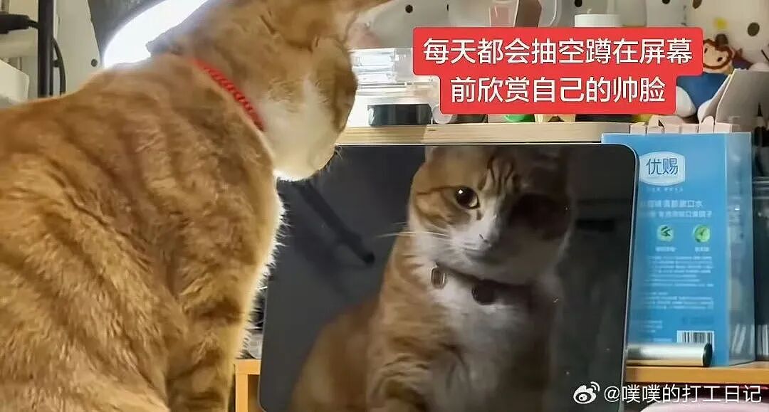 【爆笑】“婚礼上被自己的婚纱当场勒晕…？”哈哈哈你们结过婚的嘴是真严！（组图） - 37