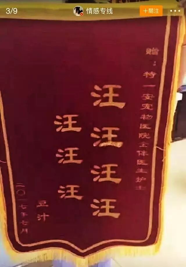 【宠物】带狗去做绝育，却被宠物医院里的锦旗笑出猪叫声...（组图） - 10