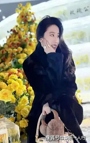 刘亦菲带65岁妈妈回哈尔滨,两人同框像姐妹(组图) - 3