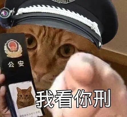太子集团陈志被押解回中国!东南亚千亿诈骗帝国覆灭:豪车艳女贿赂高官、日赚2.1亿(视频/组图) - 12