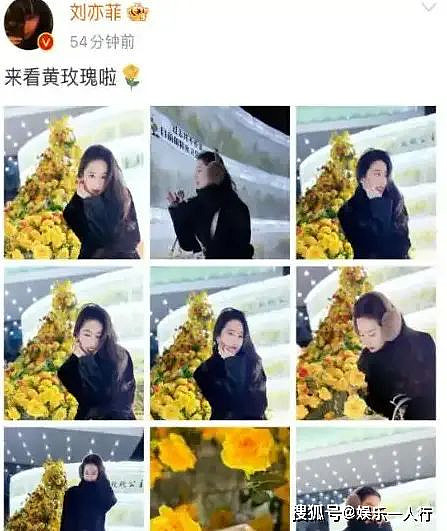 刘亦菲带65岁妈妈回哈尔滨,两人同框像姐妹(组图) - 5