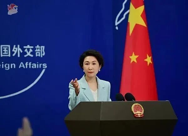 太子集团陈志被押解回中国!东南亚千亿诈骗帝国覆灭:豪车艳女贿赂高官、日赚2.1亿(视频/组图) - 25