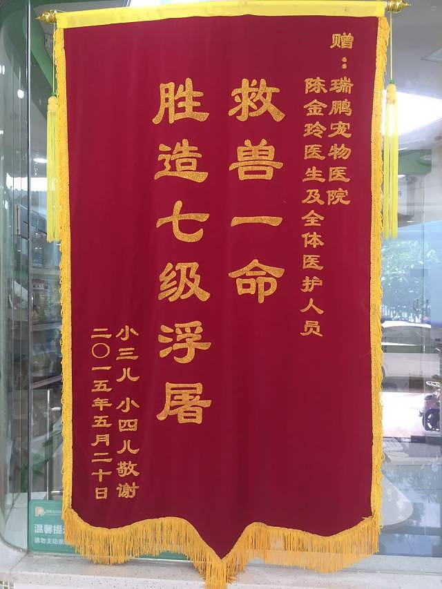 【宠物】带狗去做绝育，却被宠物医院里的锦旗笑出猪叫声...（组图） - 14