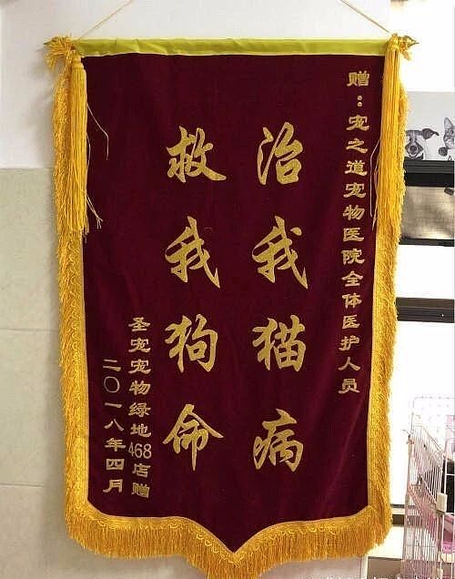 【宠物】带狗去做绝育，却被宠物医院里的锦旗笑出猪叫声...（组图） - 12