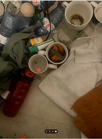 滑铁卢小姐姐第一次去滑大男生家约会，当场崩溃（组图） - 2