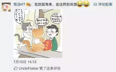 【宠物】带狗去做绝育，却被宠物医院里的锦旗笑出猪叫声...（组图） - 8