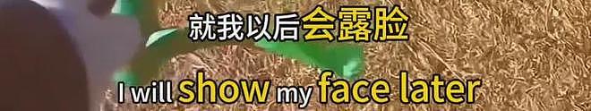郑爽回应变脸争议，避谈医美质疑，哭诉自己生活不好只想要活路（组图） - 13