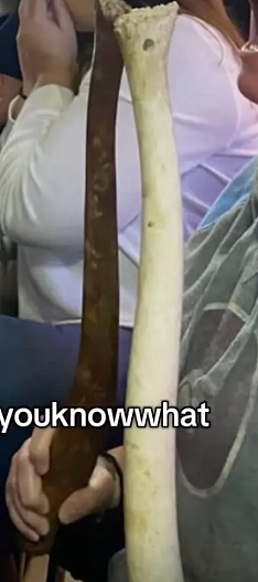 食客顺手牵丁丁?美餐厅痛失珍藏几十年海象阴茎骨,老板崩溃求归还(组图) - 6