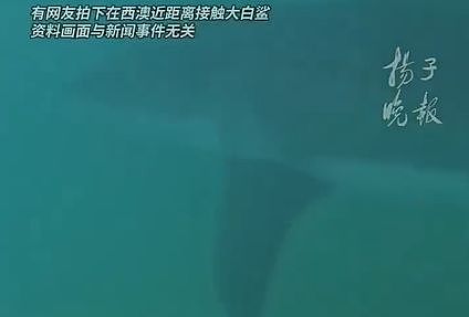 恐怖！32岁中国男子西澳潜水失踪！数日后只找到头颅，澳警：不排除鲨鱼袭击（视频/组图） - 2