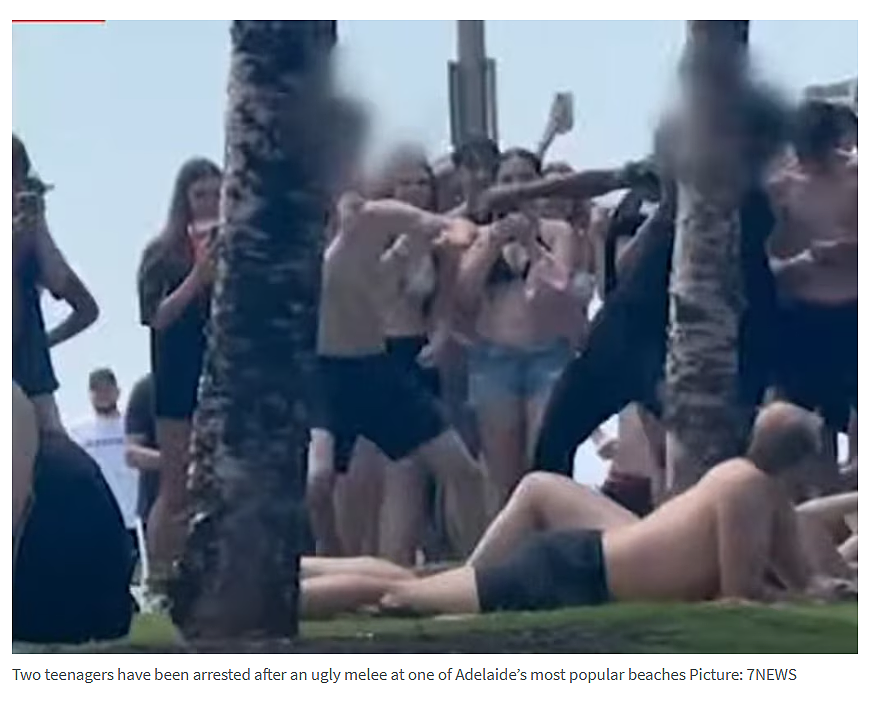 ATO开始严查:欠税别想离境;Henley Beach斗殴,两青少年被捕(组图) - 6